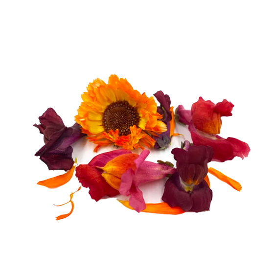 Piccolo Edibles // Freeze Dried Sunset Petals